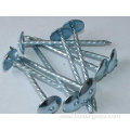 Galvanized roofing nails with umbrellar head